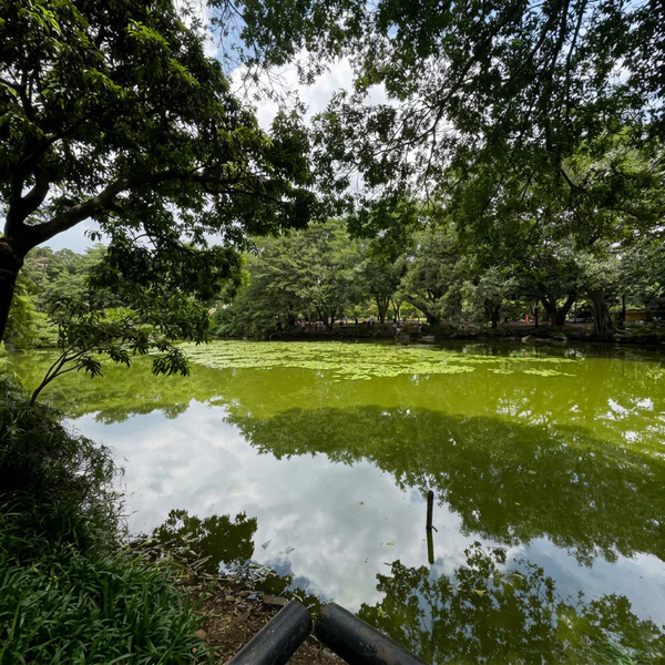 Visita Parque Explora o Jardín Botánico - inspiracion 3